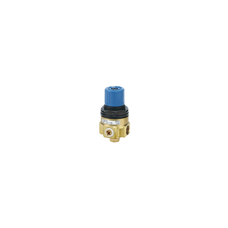 Water Regulator WR110